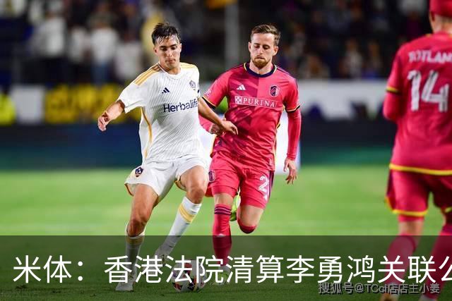 米体：香港法院清算李勇鸿关联公司，妻子公司索债1800万欧